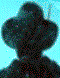 Korisnikov avatar