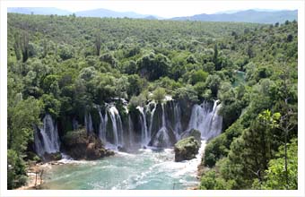 kravica1.jpg