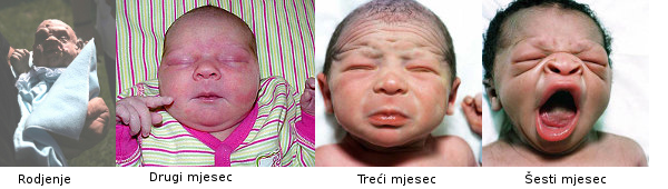 nicole-razvoj.png
