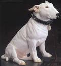 bull terier   sfondo.jpg