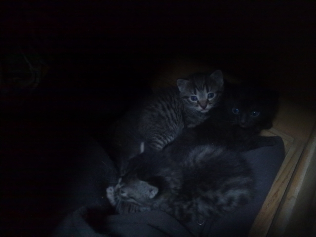 26042011013.jpg