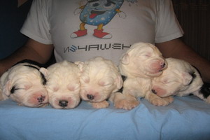 IMG_1744_resize.JPG