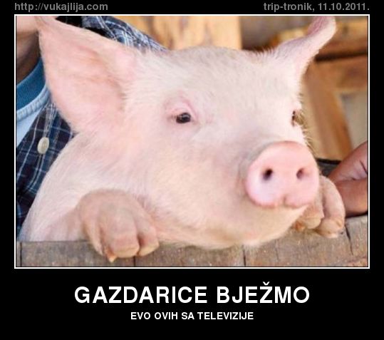 gazdarice-bjezmo.jpg