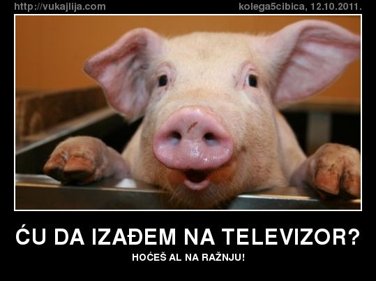 cu-da-izadjem-na-tele.jpg