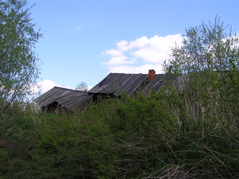 Image_022_1.JPG