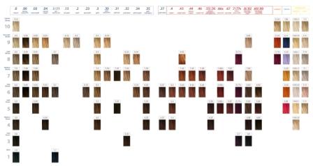 IndolaColorChart.jpg