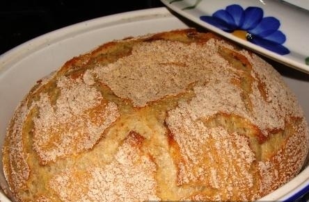 no knead bread2.jpg