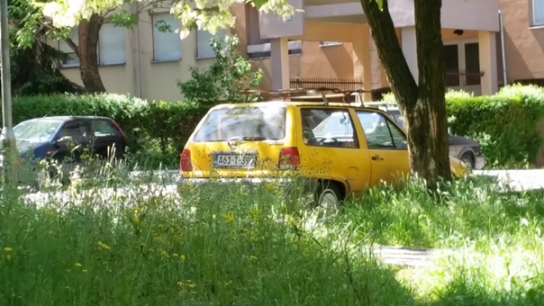 20150511_113232.jpg