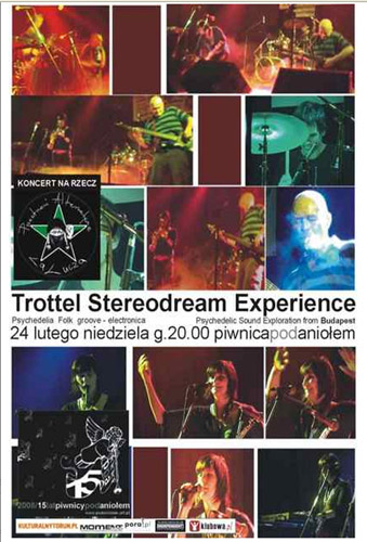 trottel-poster info.jpg
