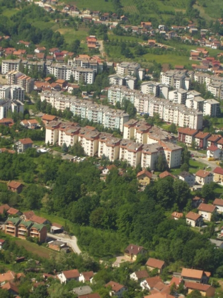 starcevica2.jpg