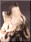 Korisnikov avatar